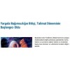 Arınç'ın açıklaması