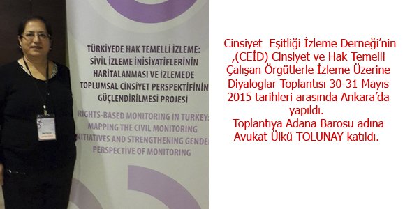 Cinsiyet ve Hak Temelli Çalışan Örgütlerle İzleme Üzerine