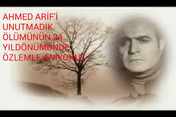 Ahmed Arif'i 24. Ölüm yıldönümünde unutmadık