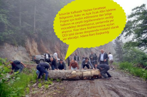 Artvin Kafkaskör Yaylası