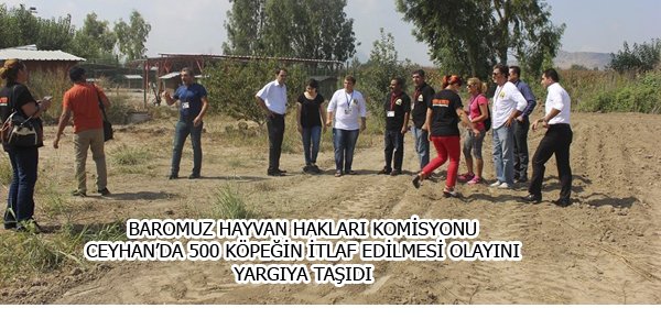 CEYHAN'DA 500 KÖPEĞİN İTLAF EDİLMESİ OLAYINI  YARGIYA TAŞIDI