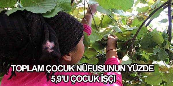 Toplam Çocuk Nüfusunun Yüzde 5,9’u Çocuk İşçi