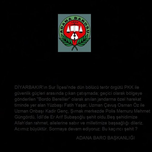 Sormaya devam ediyoruz: Bu kaçıncı şehit ?