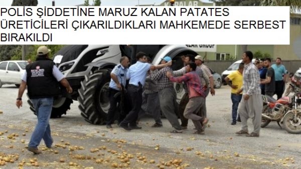 Patates üreticileri