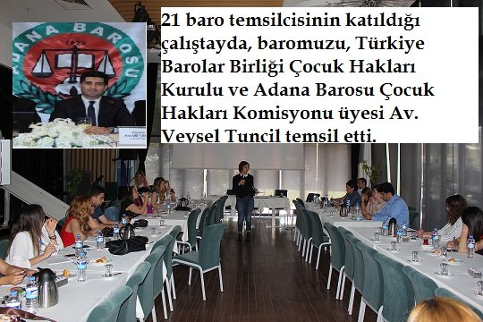 21 baro temsilcisinin katıldığı çalıştayda,